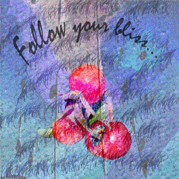 Follow Your Bliss